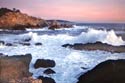 Monterey Coast