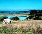  Marine Shore Excursions