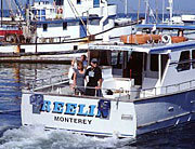 Monterey Fishing