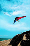 Hang Gliding And Skydiving