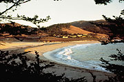 Carmel Beach
