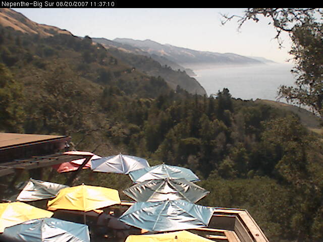 Today's view from Nepenthe's Verandah