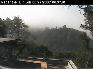 Today's view from Nepenthe's Verandah